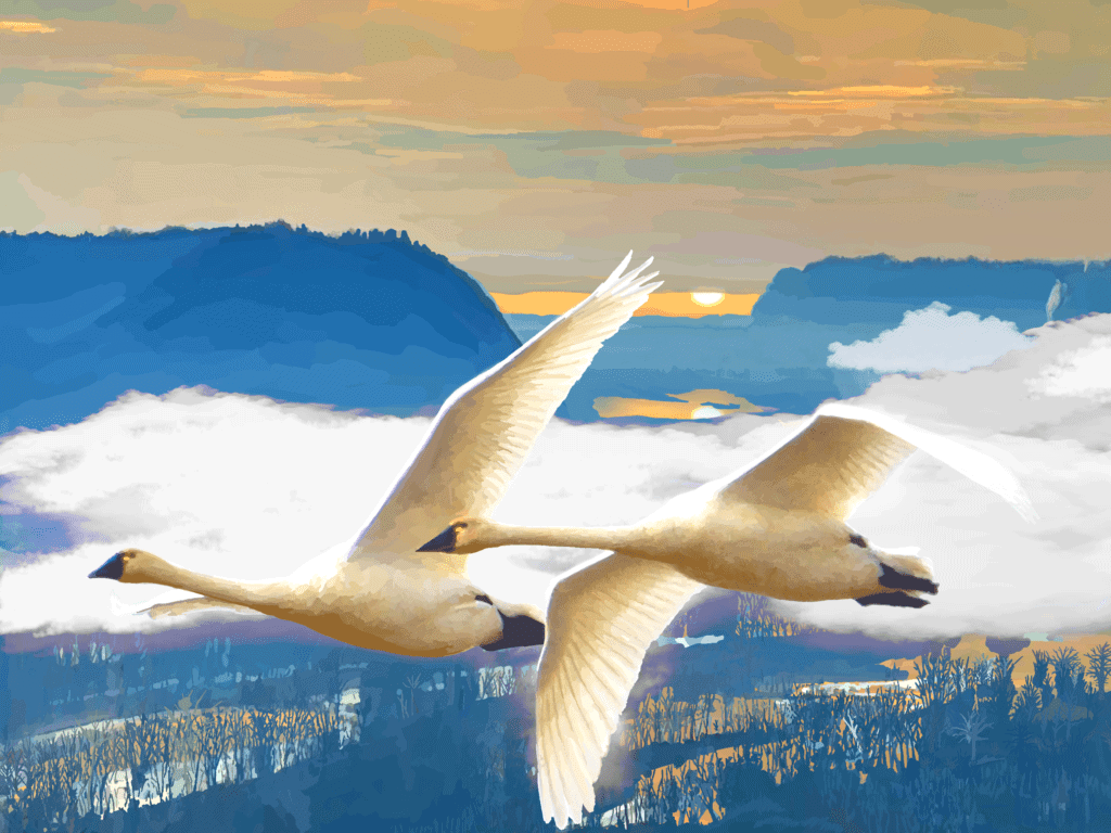 Tundra Swans Over Pool 10, digital painting, 20.7"x15.5", © 2024 Billy Reiter